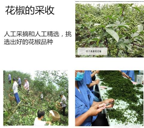 花椒烘干